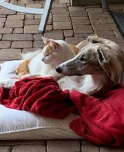 Kleintierpraxis am Bahnhofplatz Bild 6