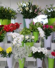 Aux Fleurs de l'Aulne image 6