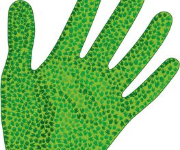 logo_1000_haende_hand.png