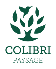 COLIBRI PAYSAGE image 3