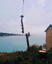 RUCHON ENVIRONNEMENT image 3