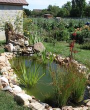 GONIN PIERRE image 2