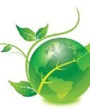 FLICHY SPINELLI Valérie image 2