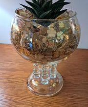 Succulentes & Orchidees image 17