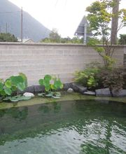 De Taddeo Claudio Sagl. Bild 1