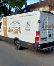 Die Umzugslöwen De Moll Bild 2