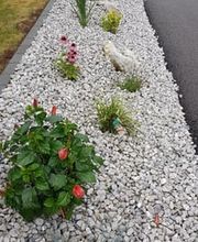 KOCEV T. Paysagiste Sàrl Bild 1