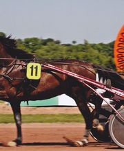 Société De Courses image 6