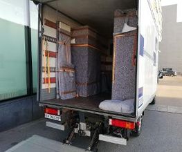 SDD Pittet Bild 2