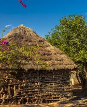 Voyages Rouillard image 6