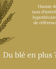 ALC Conseils Immobiliers Bild 13