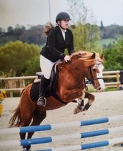 Haras du Cercle image 8