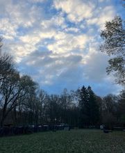Hundecoach Melly- Mobil & Individuell Bild 12