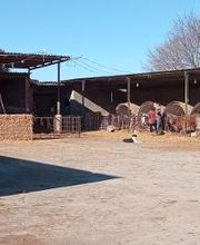 Pinsos Cortada imagen 18