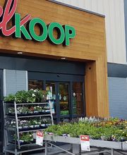 Musselkanaal Welkoop