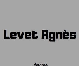 Vignobles Levet image 2