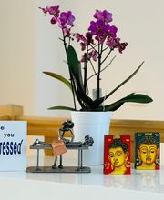 Massagenberlin Heilpraktiker Martin Grütz Bild 3