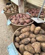 Johansen Landscape & Nursery image 5