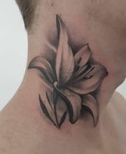 Lanterne Noire image 20