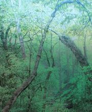 Hautzentrum Burgdorf Bild 2