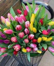 Preston Flowers image 4