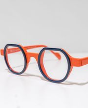 Barbry Optique image 15