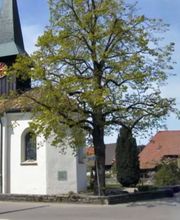 Gemeindeverwaltung /AHV-Zweigstelle / Steueramt Bild 5