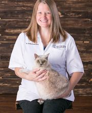 Petersen Pet Hospital image 4