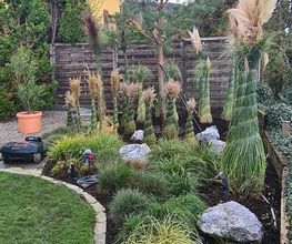 BRÜHWILER-GARTENBAU, BAUMPFLEGE Bild 8