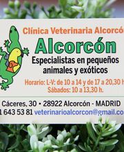 Veterinario Alcorcón imagen 9