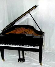 Piano van Gogh GmbH Bild 1