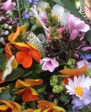 Blumen Hauke Bild 2