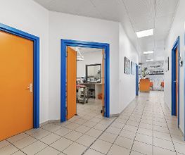 Couloir - Cabinet vétérinaire des Deux communes - Dr. Doris Hugi