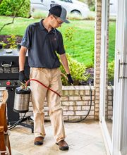 Four Seasons Pest Control image 3