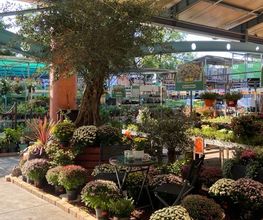 HORNBACH Gartencenter Berlin-Mariendorf Bild 2