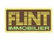 Flint Immobilier