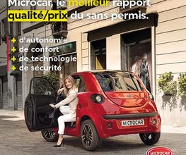 Voiture Sans Permis image 17