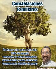 edgarcardenasconstelacionesfamiliares.jpg
