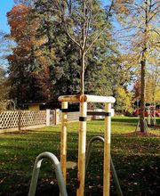 M.J.P. Baumdienst & Gartenservice Bild 3