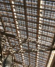 As Sunny Berry image 7