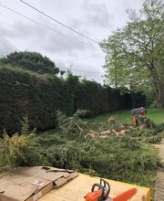 Espaces Verts Occitan image 3