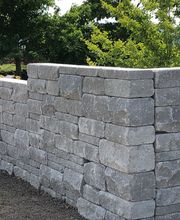 Schefer's Garten GmbH Bild 12