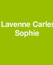CARLES image 1