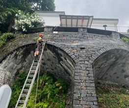 Giardini Marcus - Giardiniere Locarno Bild 7