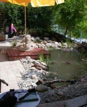 Gartenpflanzen Pflege