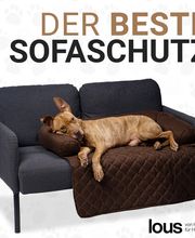DBULLDOG GmbH Bild 4