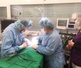 Centro Veterinario Preluna Bild 3