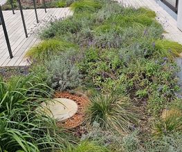 KAVA Garten & Landschaftsbau Bild 7