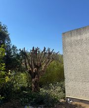 CORSE ELAGAGE image 2