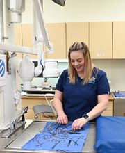 North Buffalo Animal Hospital image 11